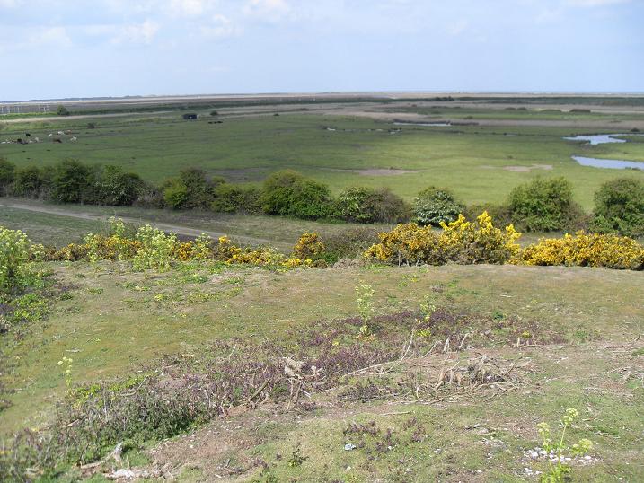 Blakeney freshs marsh viewed from Friary hills