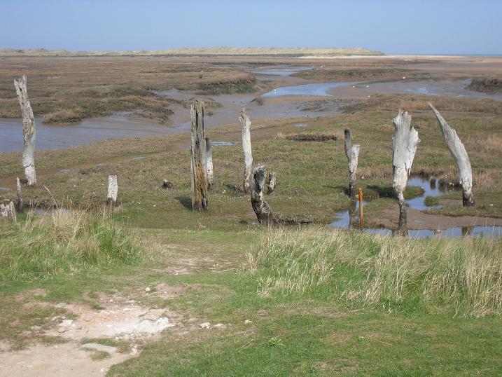 Thornham marshes