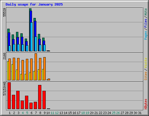 Daily usage for January 2025