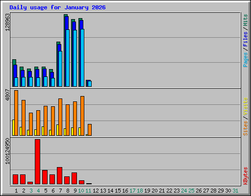 Daily usage for January 2026