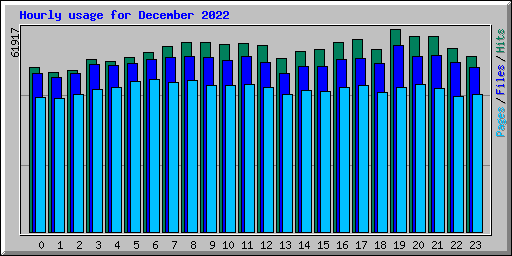 Hourly usage for December 2022