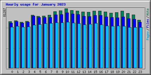 Hourly usage for January 2023