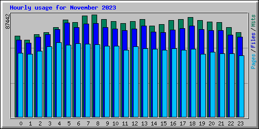 Hourly usage for November 2023