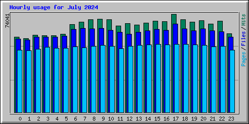 Hourly usage for July 2024