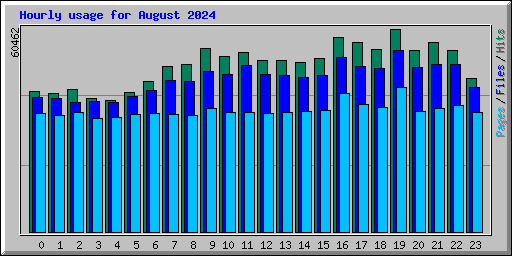 Hourly usage for August 2024