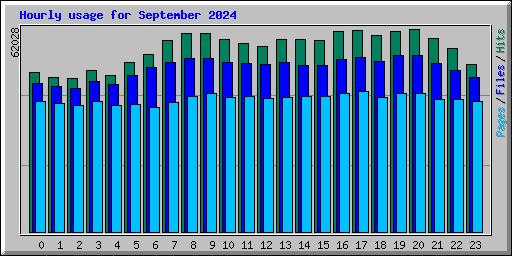 Hourly usage for September 2024