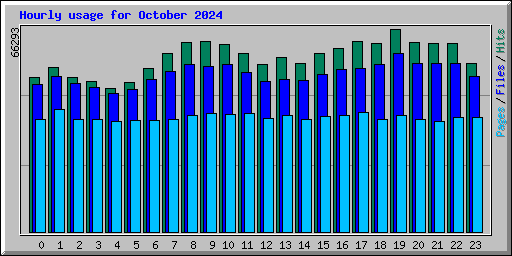 Hourly usage for October 2024