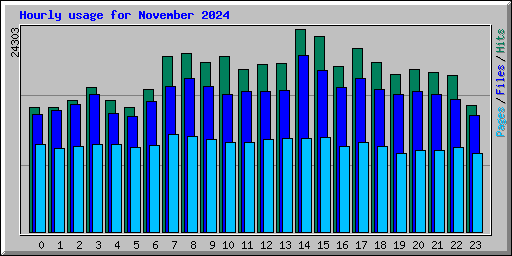 Hourly usage for November 2024