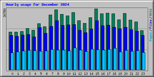 Hourly usage for December 2024