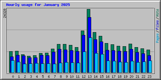 Hourly usage for January 2025