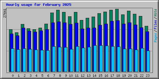 Hourly usage for February 2025