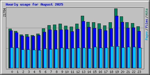 Hourly usage for August 2025