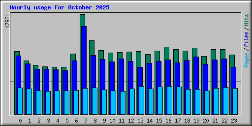 Hourly usage for October 2025
