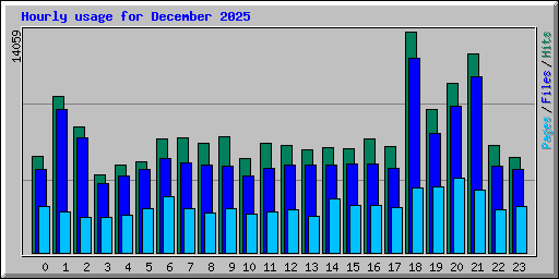 Hourly usage for December 2025