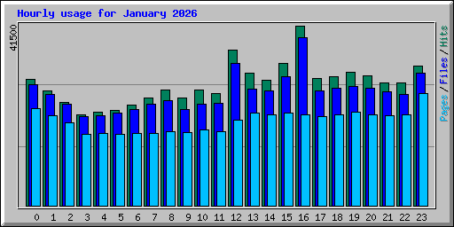 Hourly usage for January 2026