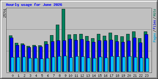 Hourly usage for June 2026