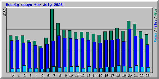 Hourly usage for July 2026