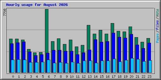 Hourly usage for August 2026